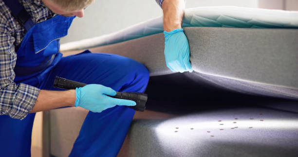 Best Mosquito Control Services  in Alpine, UT