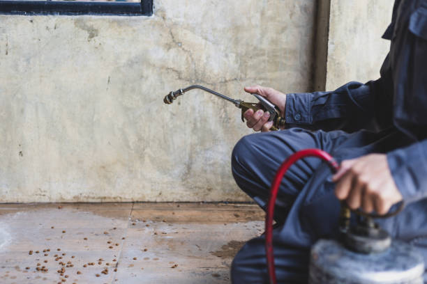 Best Emergency Pest Control  in Alpine, UT